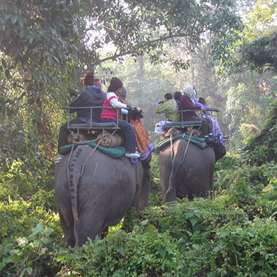 Elephant Ride