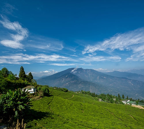 Sikkim Delight With Namchi