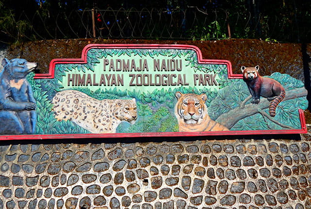 Padmaja Naidu Himalayan Zoological