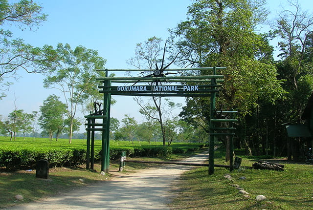 Gorumara National Park